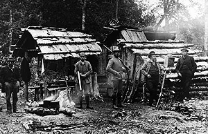 Men holding rifles and camera gear stand outside rustic log shelters in a woodland camp.